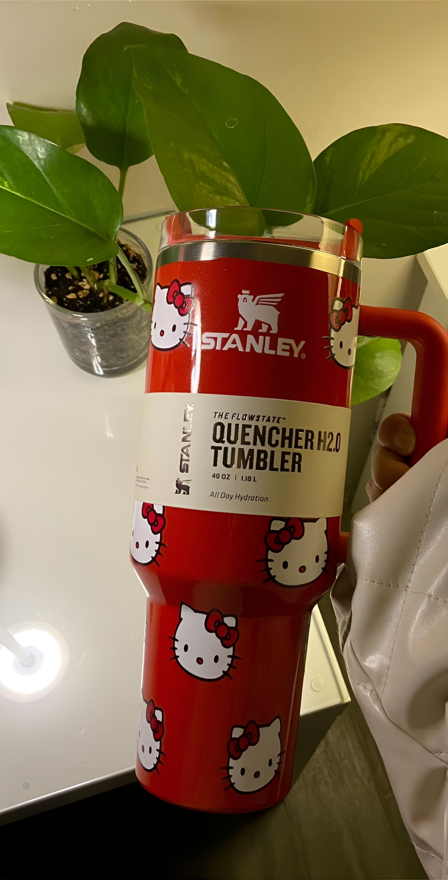 كأس ستانلي الأحمر من هالو كيتي