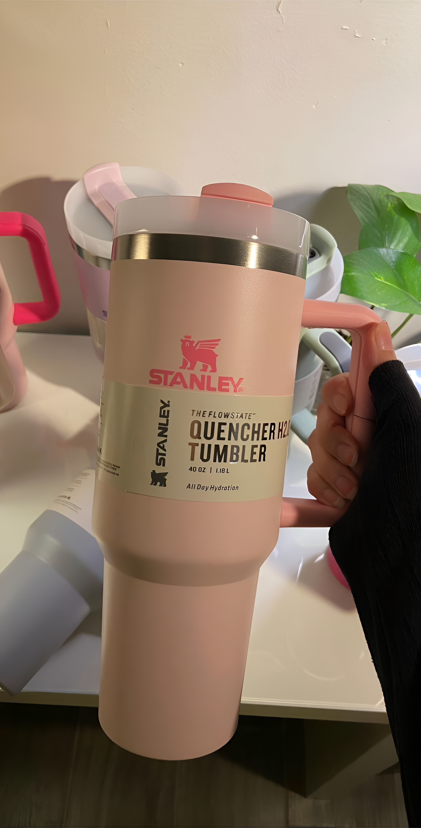 كأس ستانلي بزهر الكرز