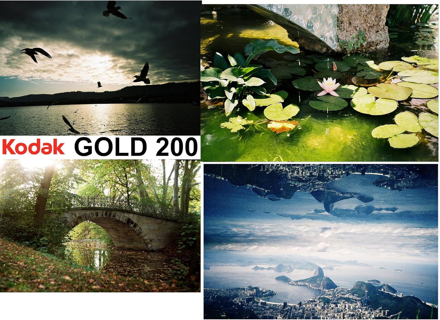 فيلم سلبي ملون Kodak Gold 200 (ISO 200) 35 مم 36