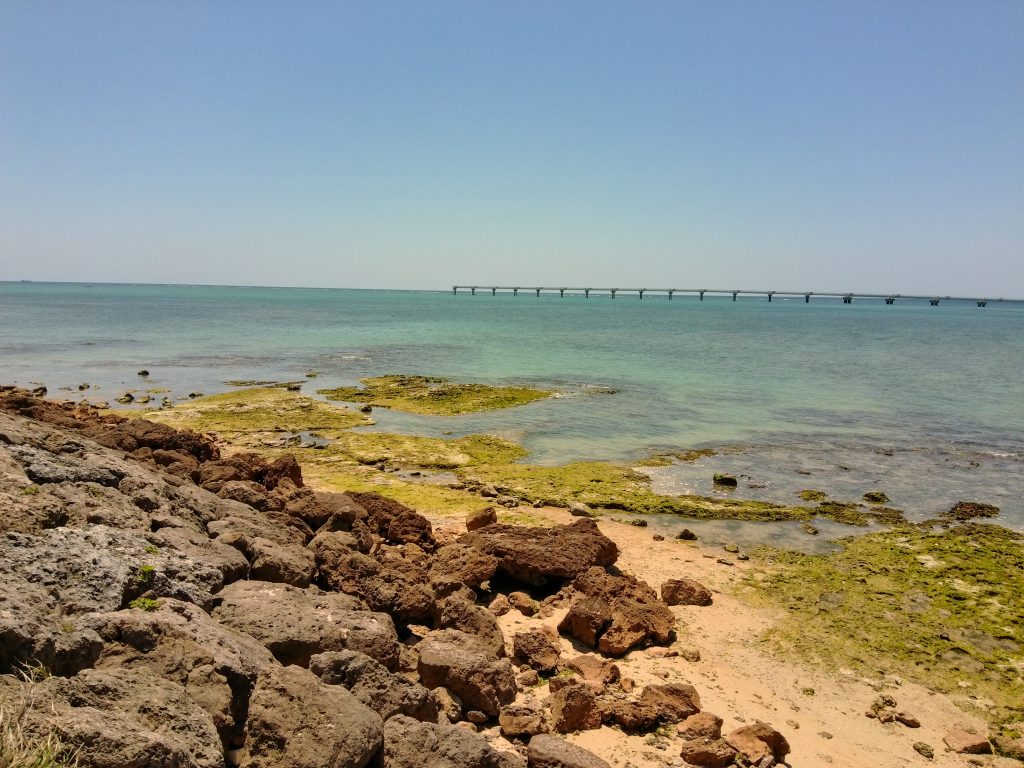 KODAK PIXPRO C1 Digital Camera