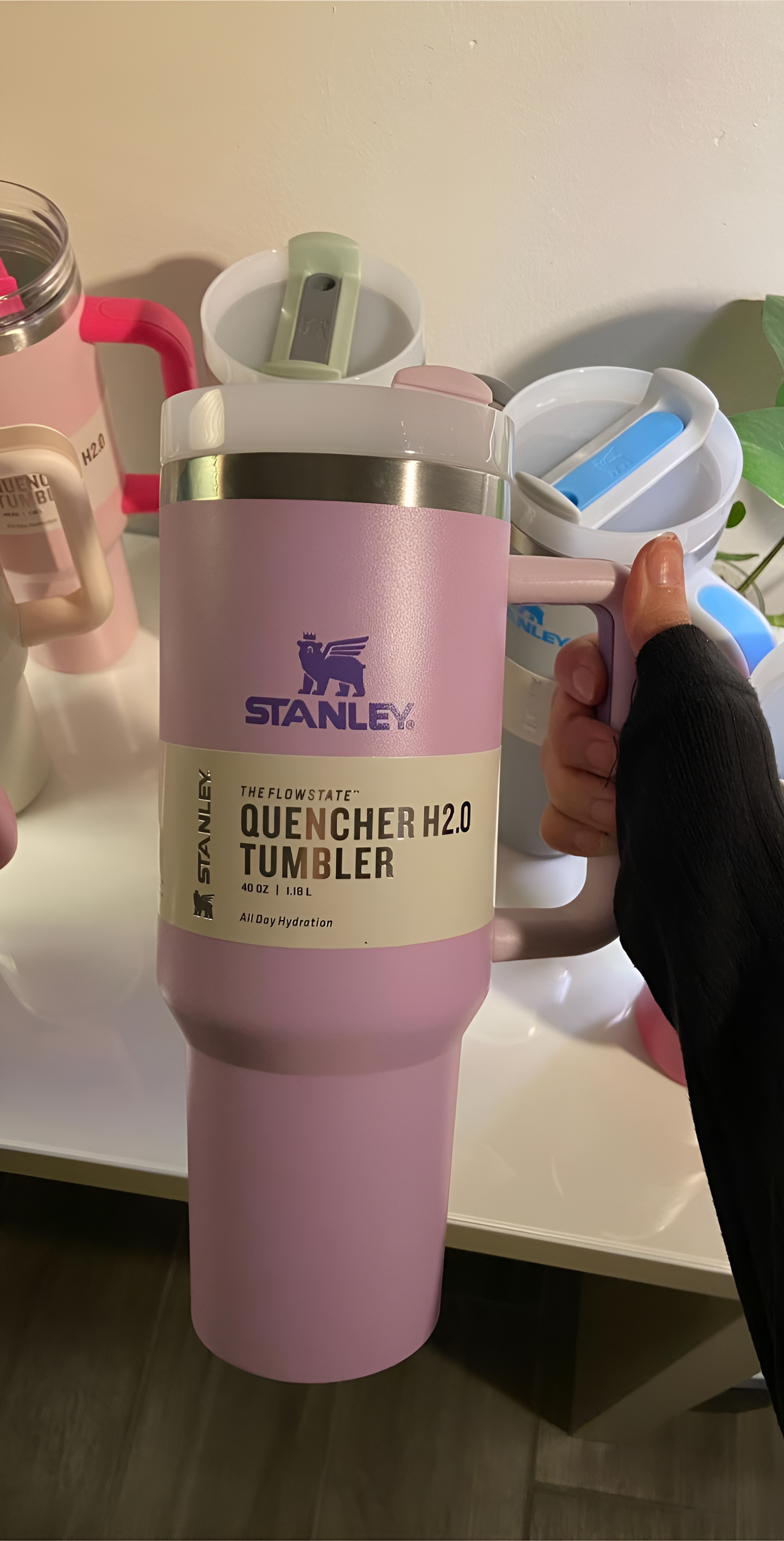 كأس ستانلي الليلكي